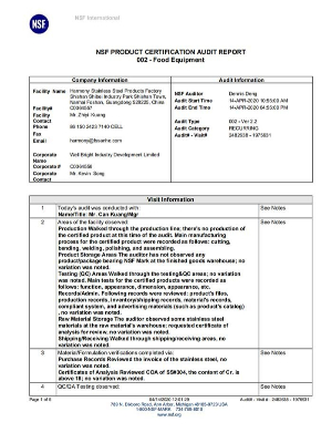 NSF-AuditReport_00